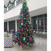 Picture of Candy Wonderland
