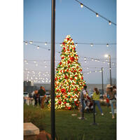 Picture of Christmas at Dusk