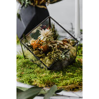 Picture of Geo Garden
