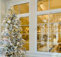 Picture of Winter Wonderland