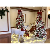 Picture of Let It Snow