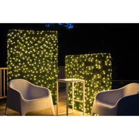 Picture of Lights For Fall Nights