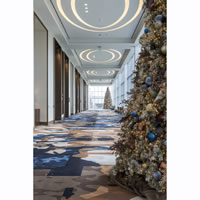 Picture of Omni Frisco