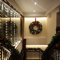 Picture of Classic Holiday Red