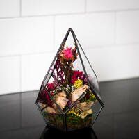 Picture of Tiny Terrarium