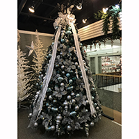 Picture of Christmas Ice