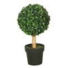 Case of 1 TP171324 Details about   Vickerman 24" Boxwood Ball In Pot UV 